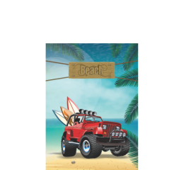 AGENDA ESCOLAR C.D.ESP.10X15 PERM.128PAG.MASC.339